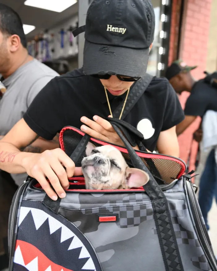 3AM PET CARRIER>SPRAYGROUND Online