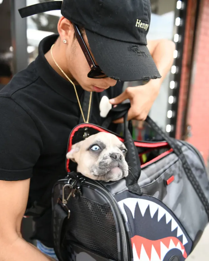 3AM PET CARRIER>SPRAYGROUND Online