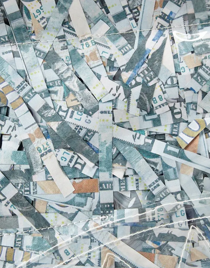 COUNTERFEIT (VINYL SHREDDED MONEY)>SPRAYGROUND