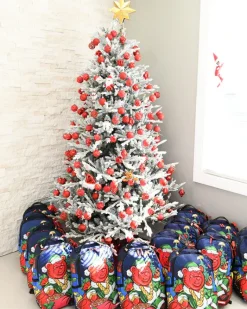 DIABLO SANTA><noscript><img width=