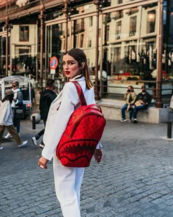 MONEYGRAM BRICK BACKPACK (DLXV)><noscript><img width=