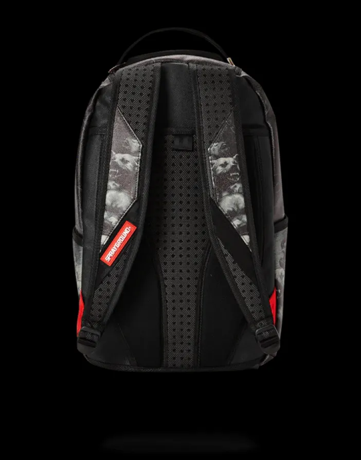 PITBULLS>SPRAYGROUND Hot