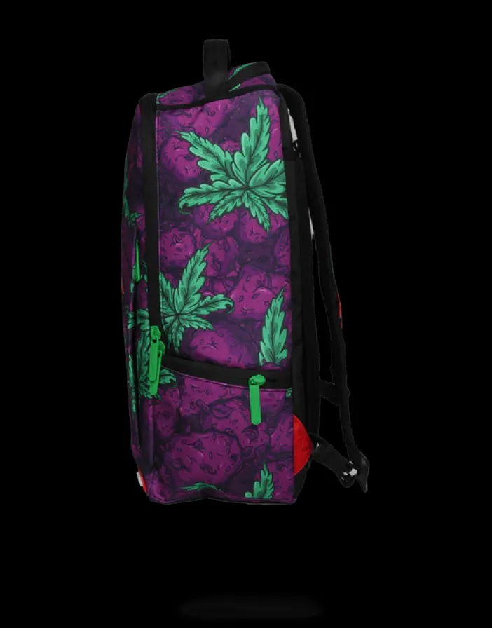 QUEEN INDICA>SPRAYGROUND Discount