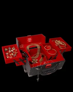 SPRAYGATTI REVV JEWELRY CASE><noscript><img width=