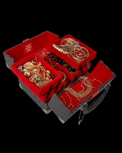 SPRAYGATTI REVV JEWELRY CASE><noscript><img width=