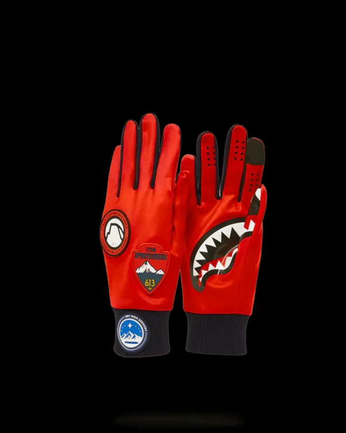 THE GLOBAL EXPEDITION GLOVES>SPRAYGROUND Best