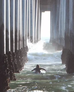 WTF SURFBOARD><noscript><img width=
